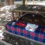 IMG_20160702_162626