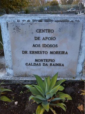 Voluntariado Reiki Caldas da Rainha