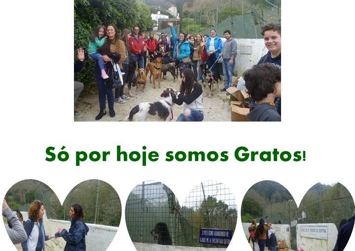 Assim foi o Passeio Solidário de dia 6 de Fevereiro