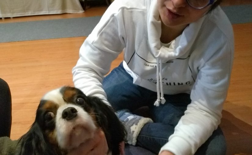 Comemoração do Dia Internacional do Reiki Animal