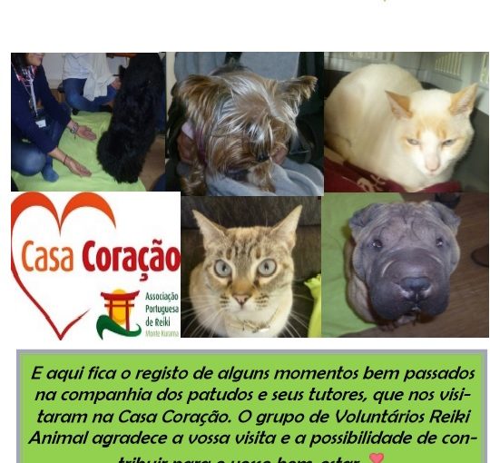 Reiki animal