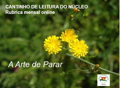CANTINHO DE LEITURA DO NÚCLEO DO PORTO