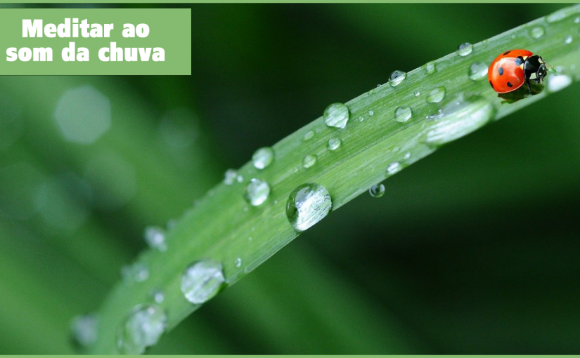 Meditar ao som da chuva