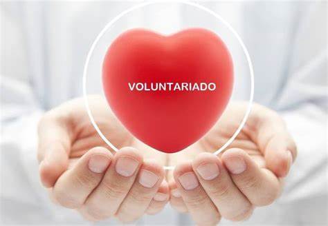 Sábados voluntários em 2021 – Depoimentos