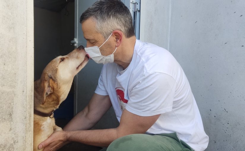 Dia Internacional do Reiki em Animais em Valença do Minho