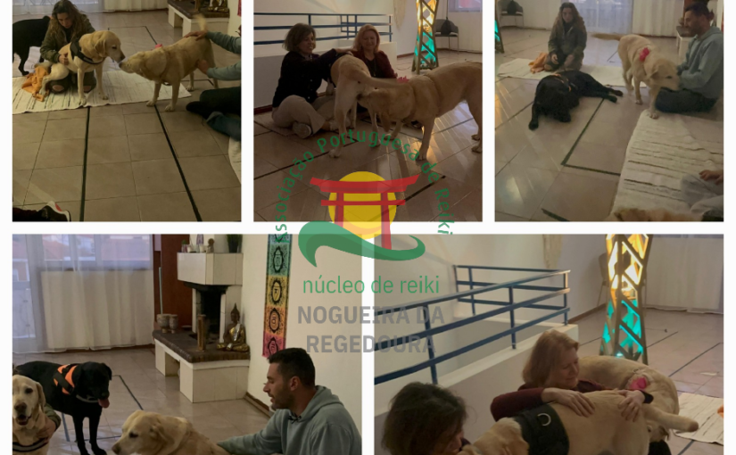 Partilha de Reiki na Dogwonderland – Núcleo APR de Reiki de Nogueira da Regedoura